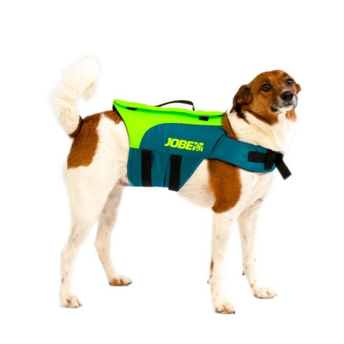 Dog Lifebuoy 50N Lime Green - Jobe