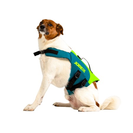 Rettungsring für Hunde 50N Lime Green - Jobe
