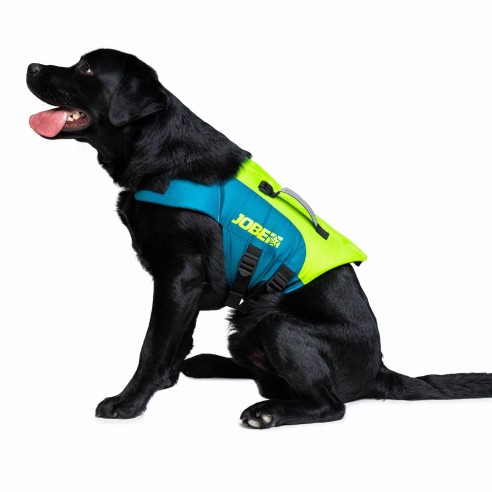 Dog Lifebuoy 50N Lime Green - Jobe