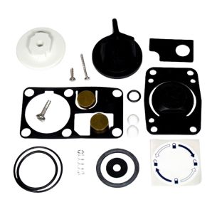 Gasket and valve kit for pump with blue handle - Jabsco