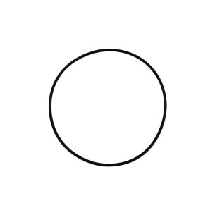 Jabsco 43990-0066 - O-ring