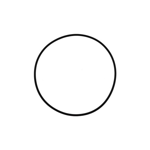 Jabsco 43990-0066 - O-ring
