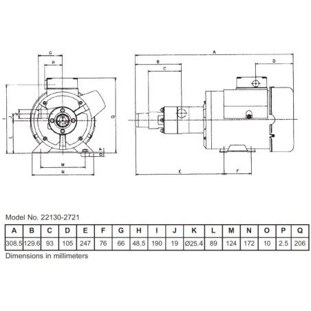 Jabsco 22130-2721 – Zerhackerpumpe 46 l/min, 110/220 V