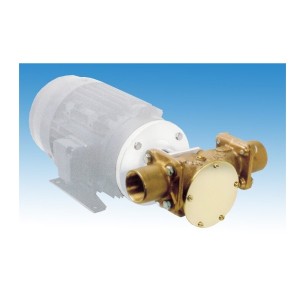 Jabsco 22880-2001 - Bronspump 200 L/m.