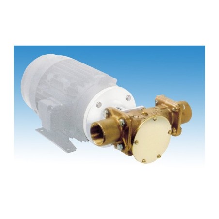 Jabsco 22880-2001 - Bronzepumpe 200 l/min.