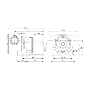 Jabsco 52080-2001 - 1" bronspump 2
