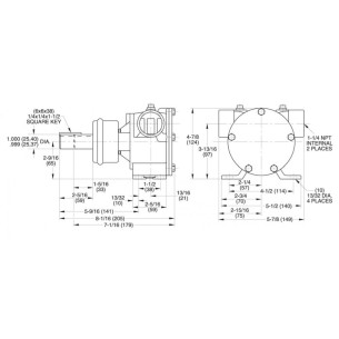 Jabsco 6400-1051 - Pronssipumppu 2
