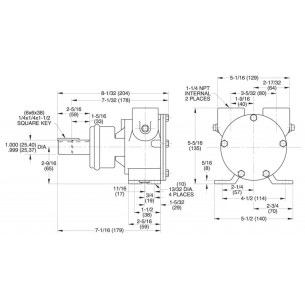 Jabsco 7420-0004 – Bronzepumpe, 1-1/4"-Standardwelle 2