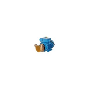 Jabsco 53021-2013-230 - Itseimevä pumppu 230 V