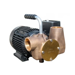 Jabsco 53081-2001-230 - 230V selbstansaugende Universalpumpe - 1-1/2"