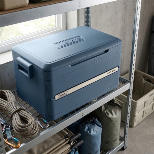 Snap'n Go 42 L Collapsible Cooler -...