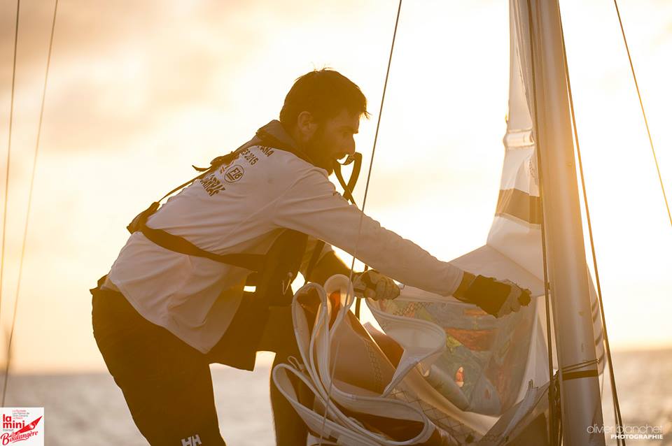 mini Transat regate 2019