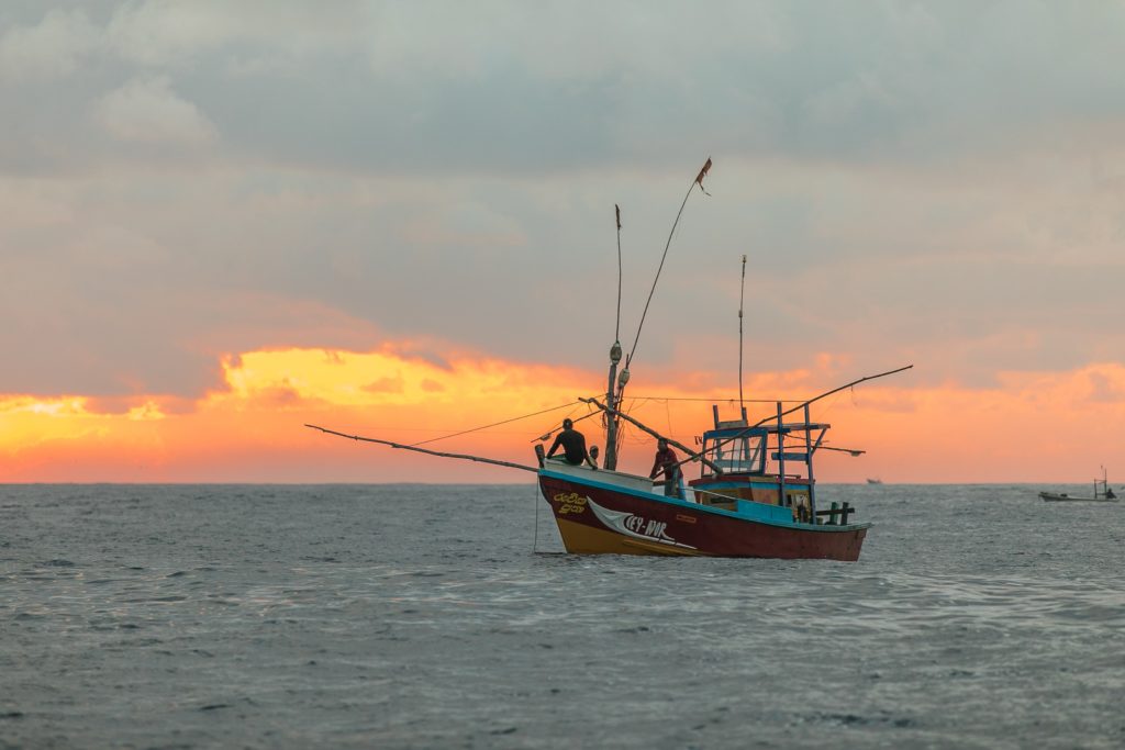 barca da pesca