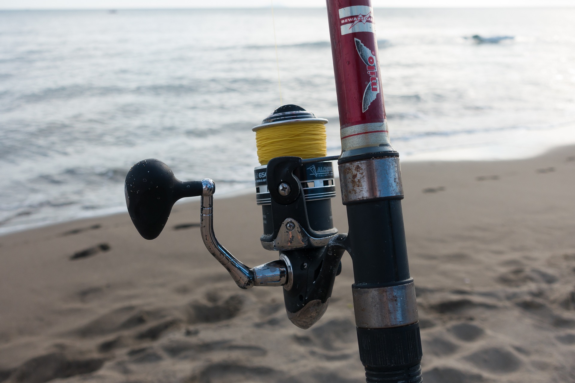 scegliere la canna da pesca