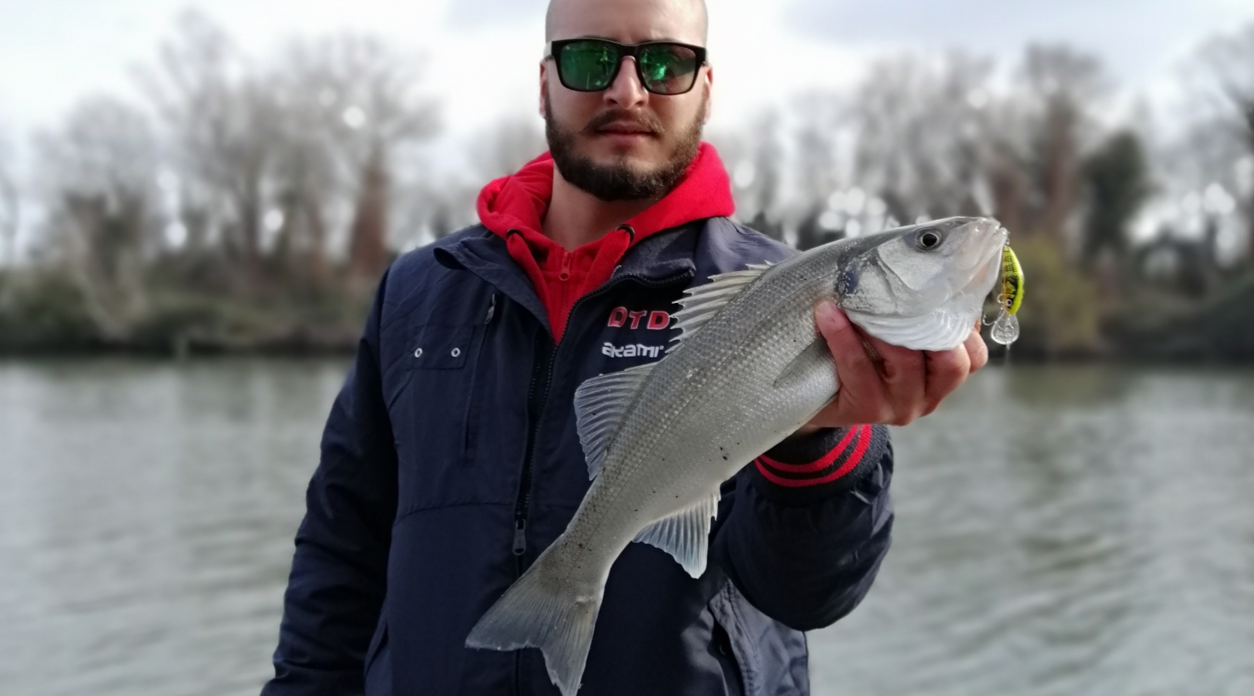 Pesca alla spigola nella traina costiera