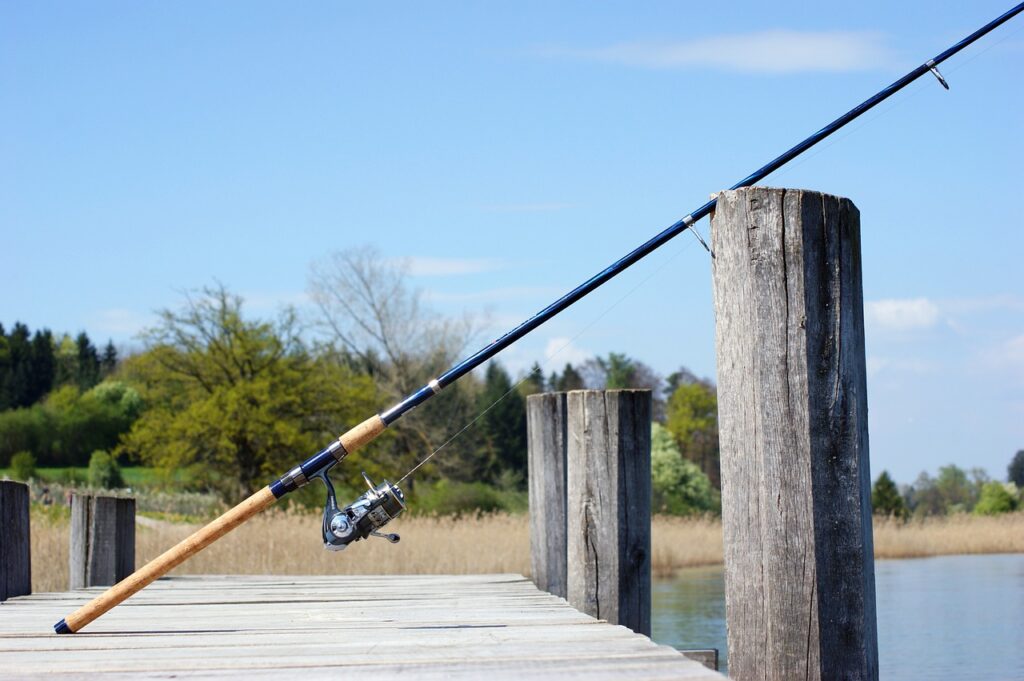 scegliere canna da pesca (costo)