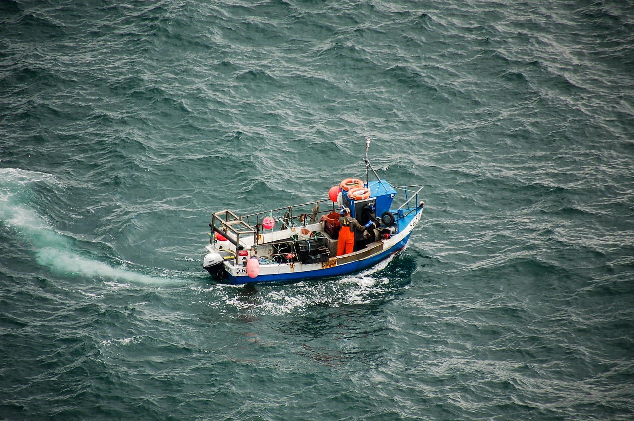 organizzare barca da pesca