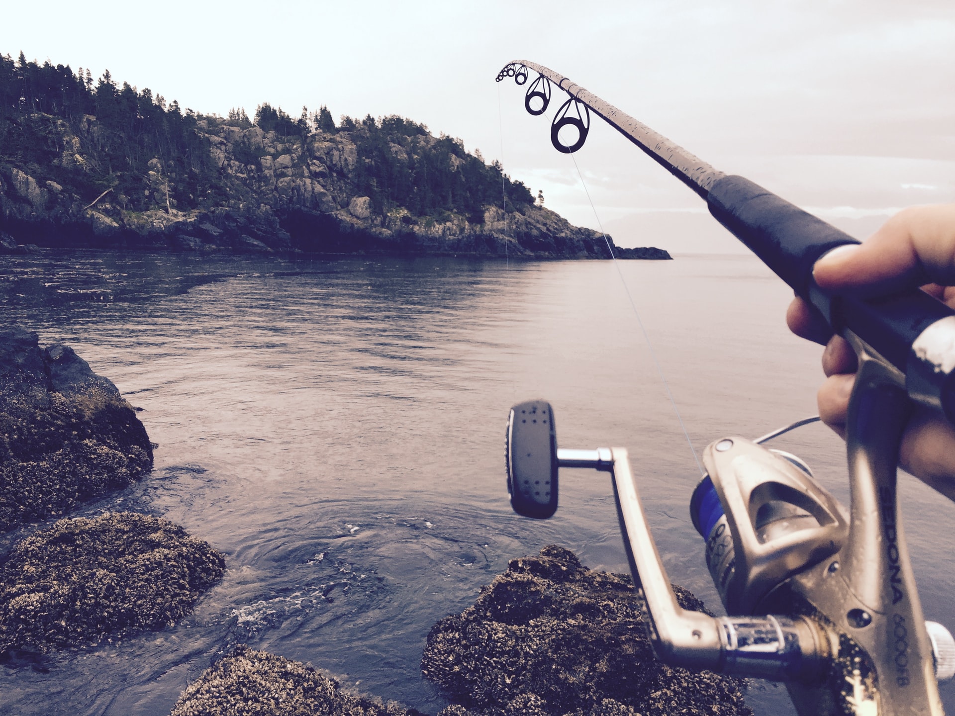 anello della canna da pesca rotto