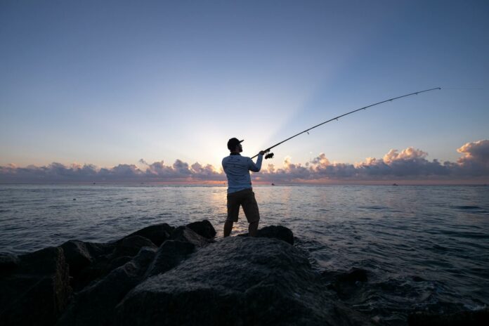 guida alla pesca al pesce serra, tecniche e accessori