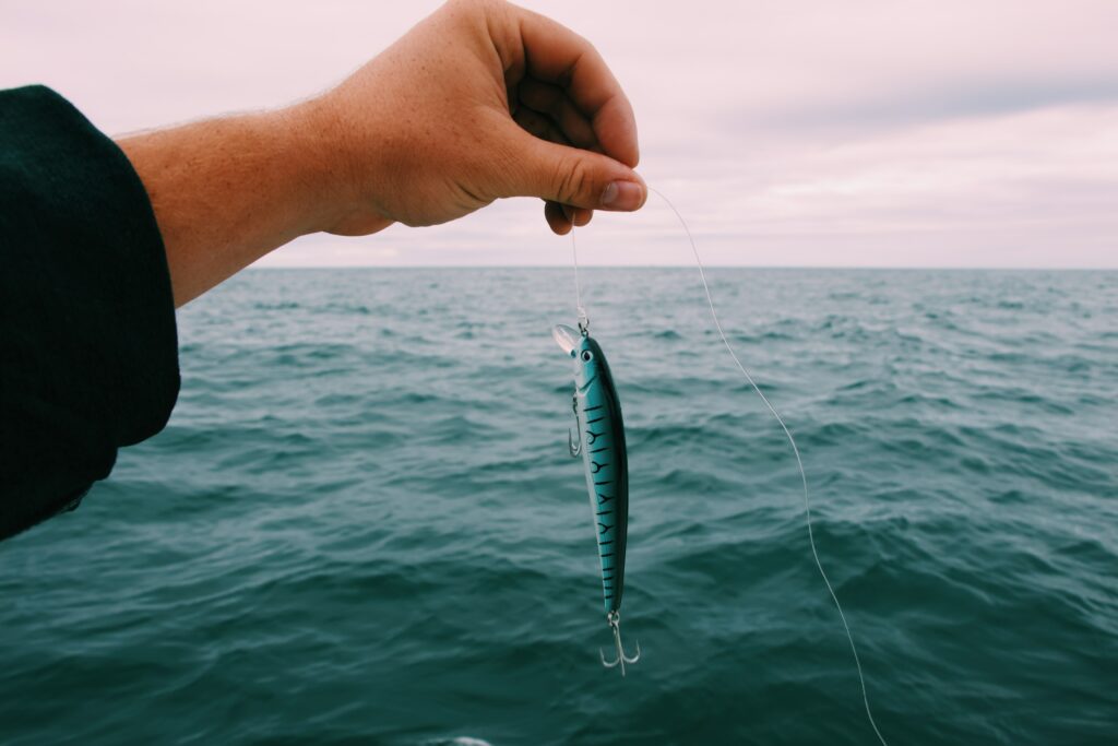 Lo sgombro può essere pescato con artificiali di diversi tipi.