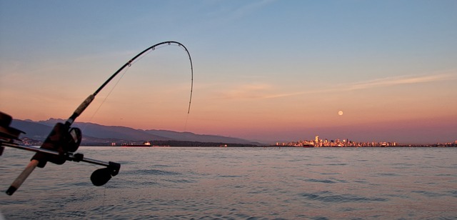 pesca alla lampuga