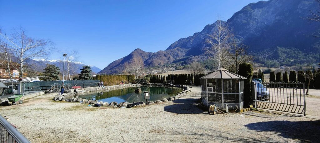 Migliori laghi pesca sportiva in Trentino