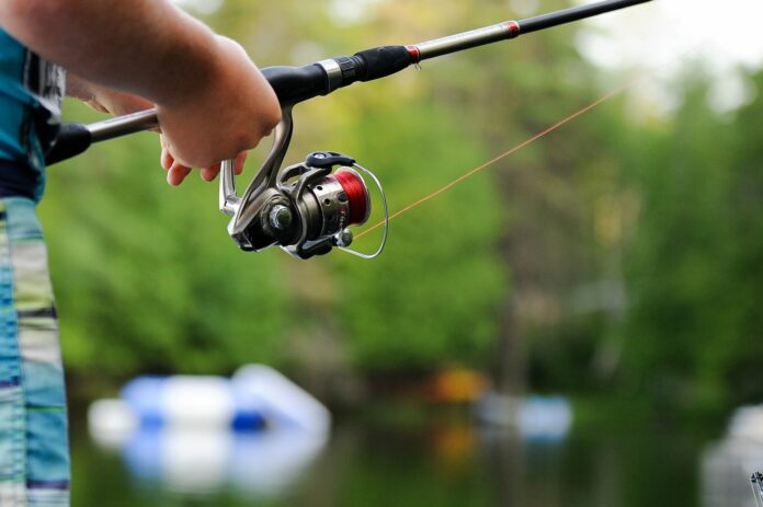 Guida alla pesca del pesce siluro