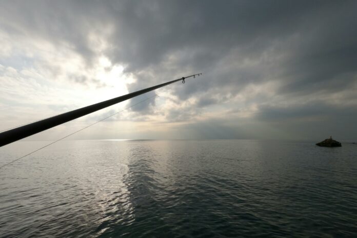 Scopri i migliori fili da pesca in base alla preda che vuoi catturare