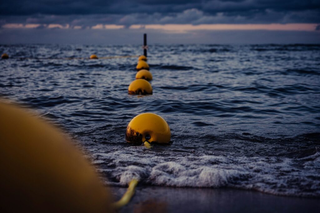 boe in mare colori