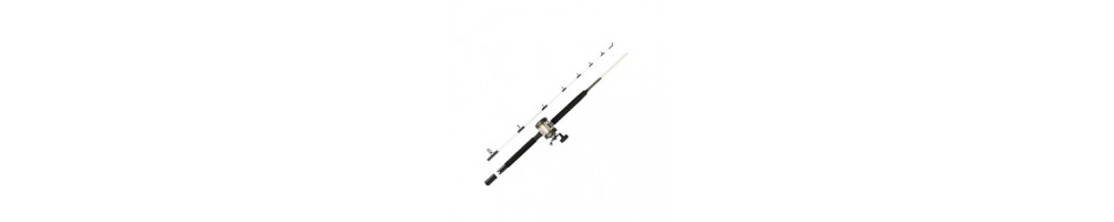 Fishing Rod and Reel - Buy Online