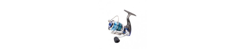 Front Clutch Reels - Buy Online | HiNelson