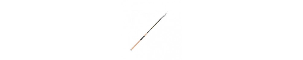 Canne da pesca match - Acquista online | HiNelsom