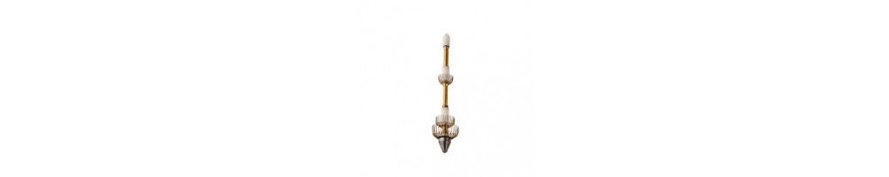 Deep-Sea Squid - Promotions and Discounts | HiNelson