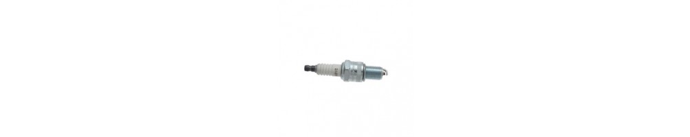 Champion bougies - online te koop | HiNelson