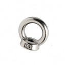 Stainless Eyebolt