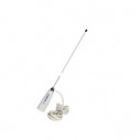 AM-FM-antenni