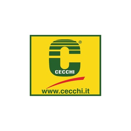 Cecchi Gustavo